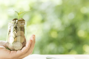 Investasi Syariah Konsep, Prinsip, dan Manfaatnya dalam Ekonomi